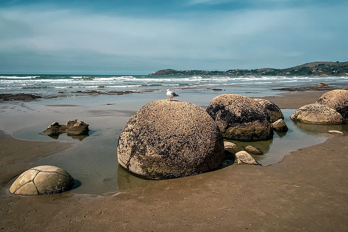 Moeraki Boulders