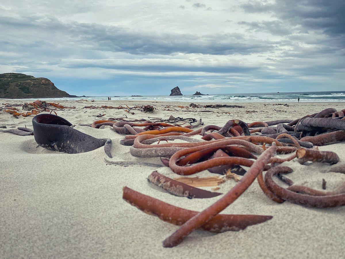 Sandfly Bay