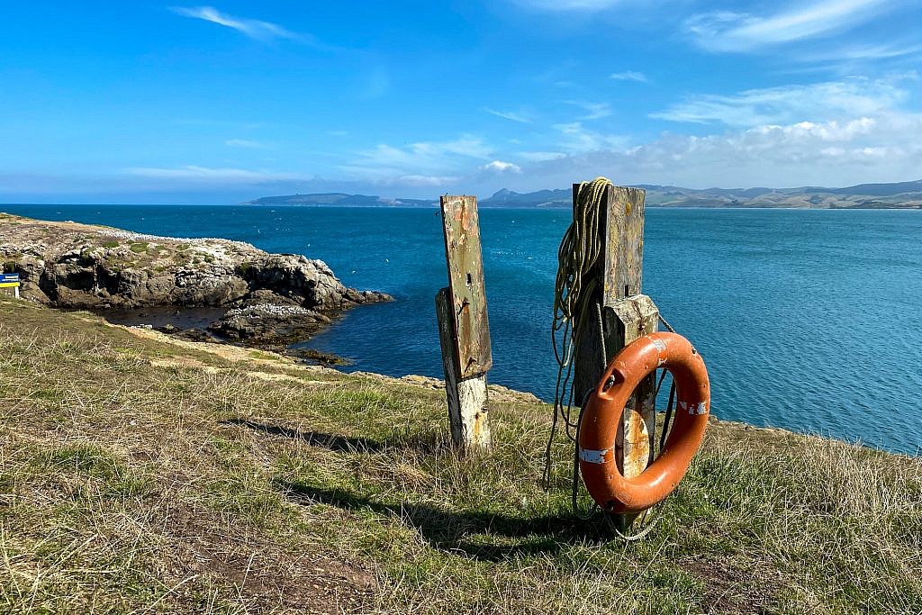 Katiki Point