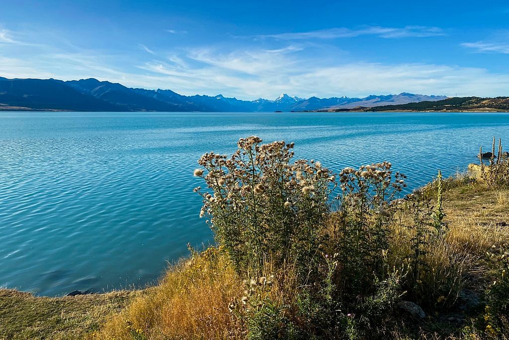 Lake Pukaki