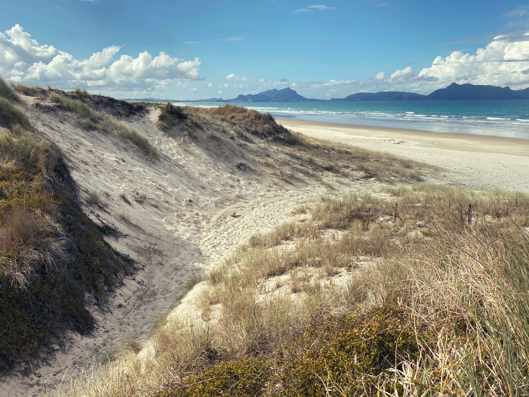 Ruakaka Beach