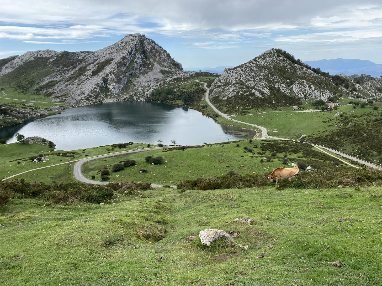 Picos de Europa