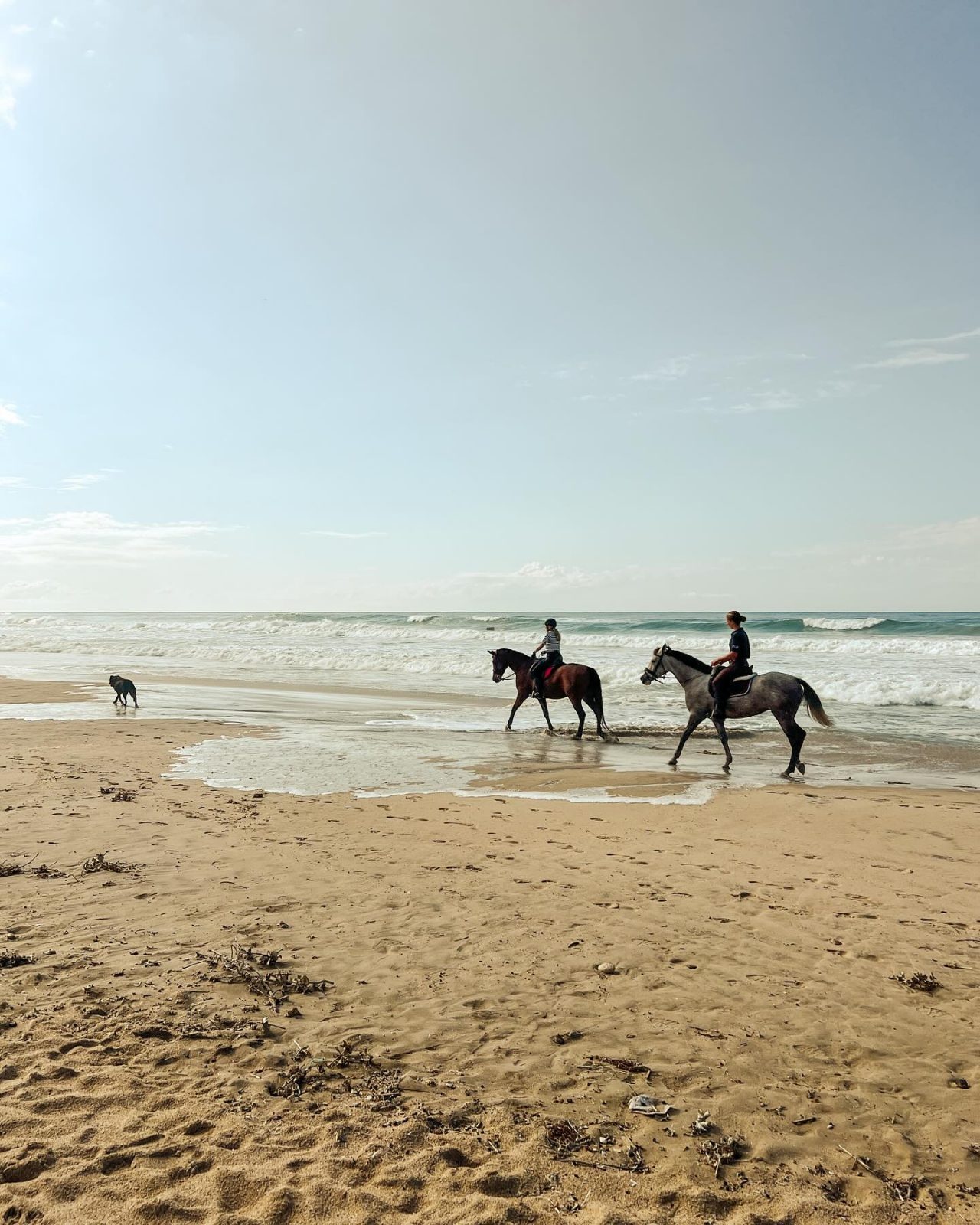 Costa de la Luz