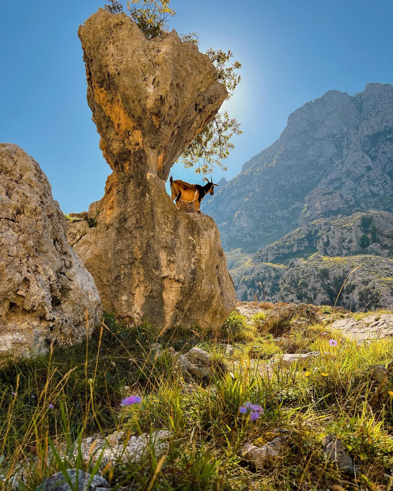 Picos de Europa 