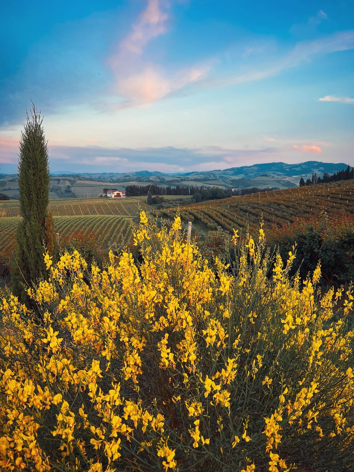 Tuscany
