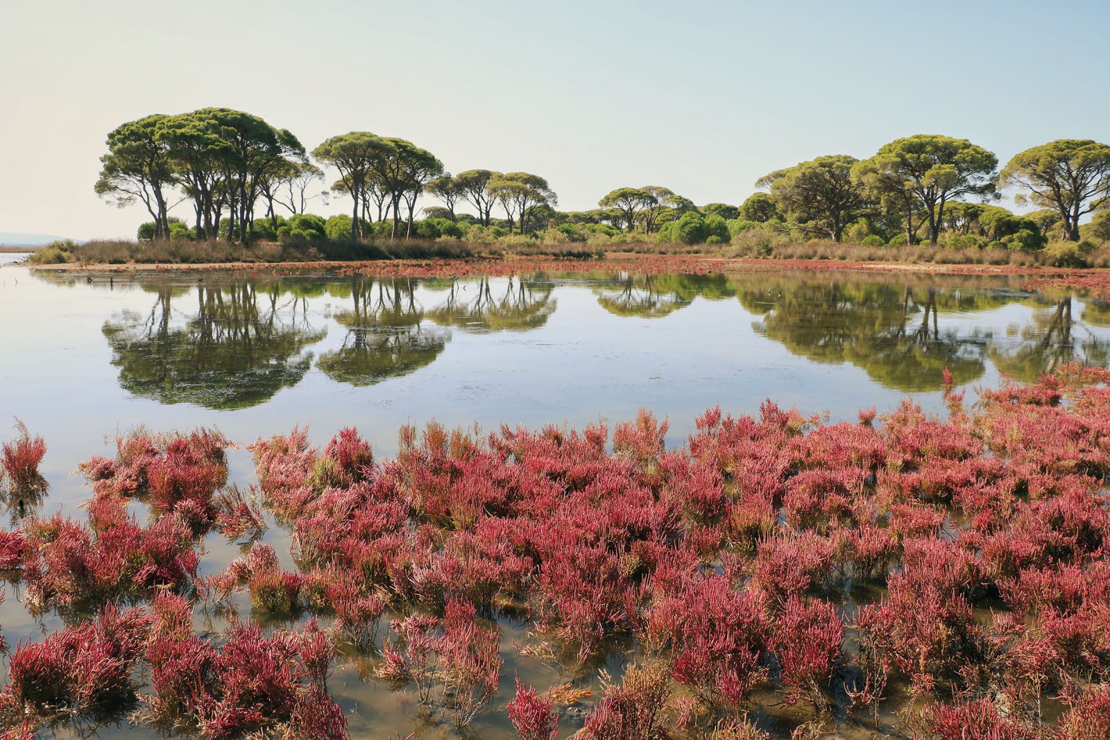 Kalogria Lagoon