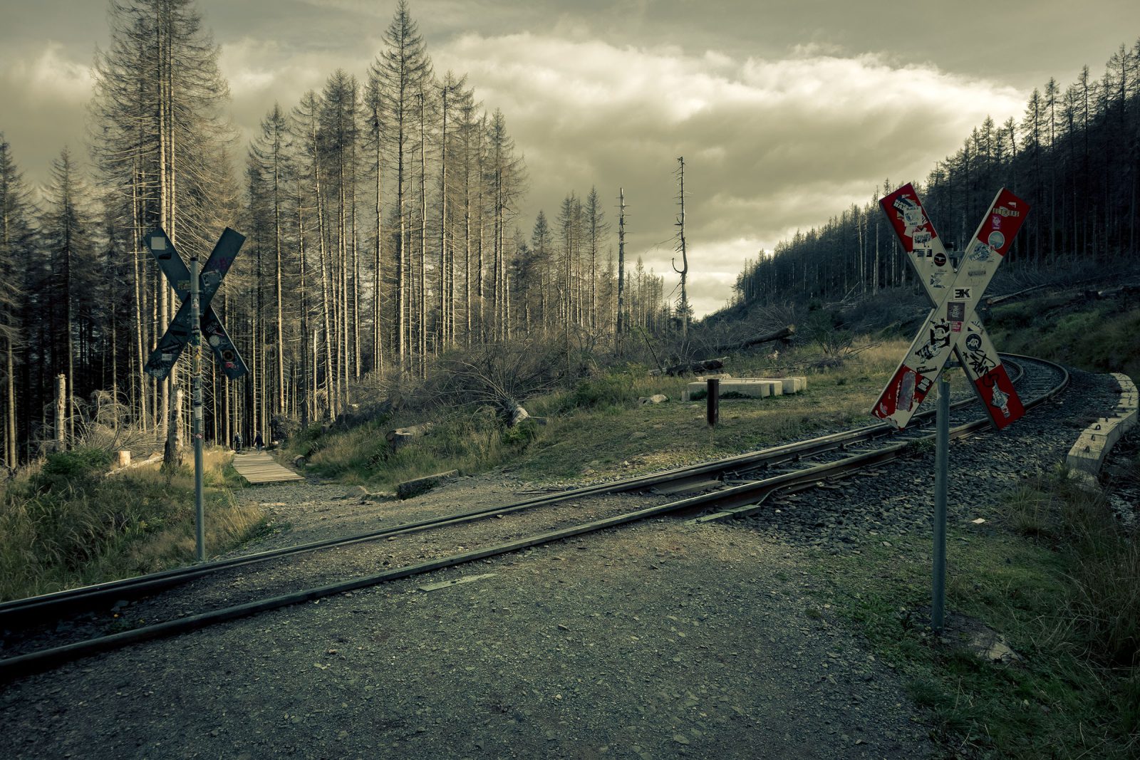Harz