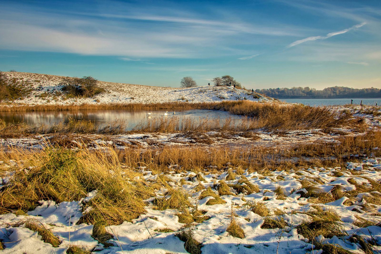 Baltic Sea in Winter