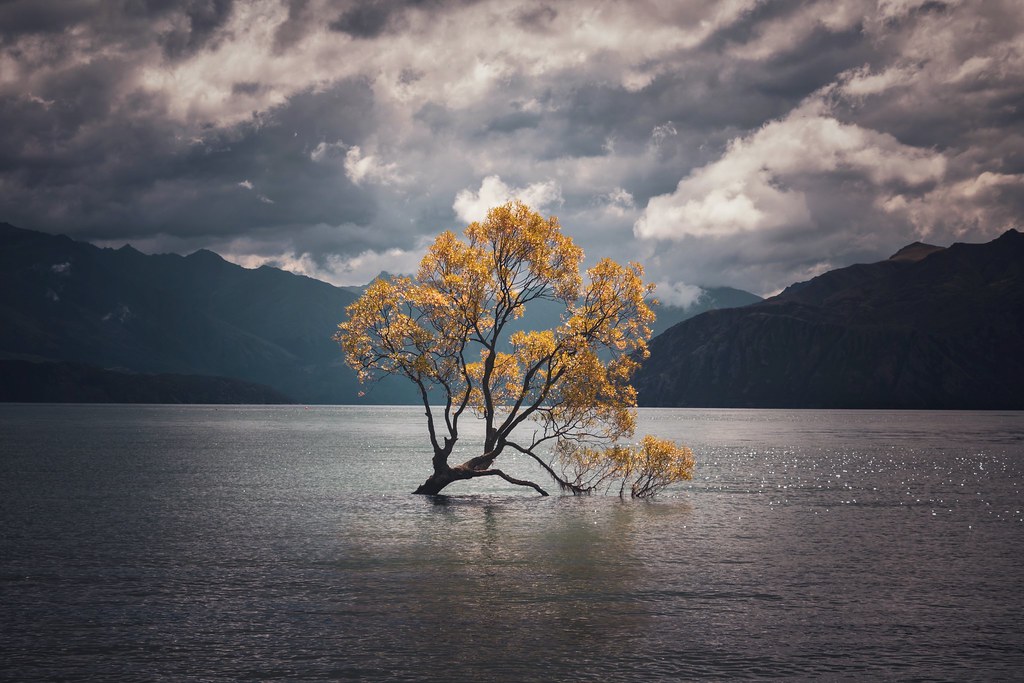 Lake Wanaka