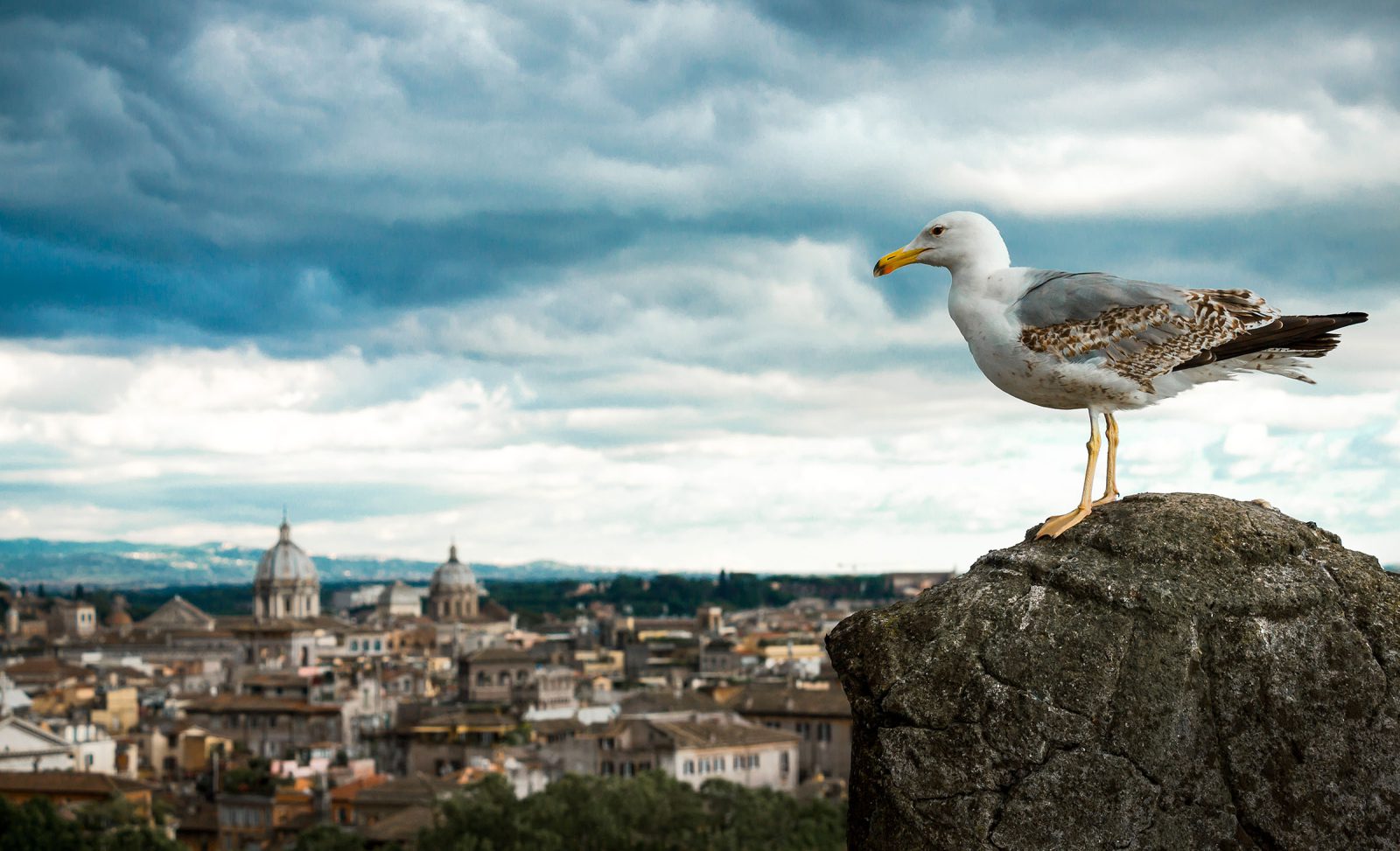 Rome