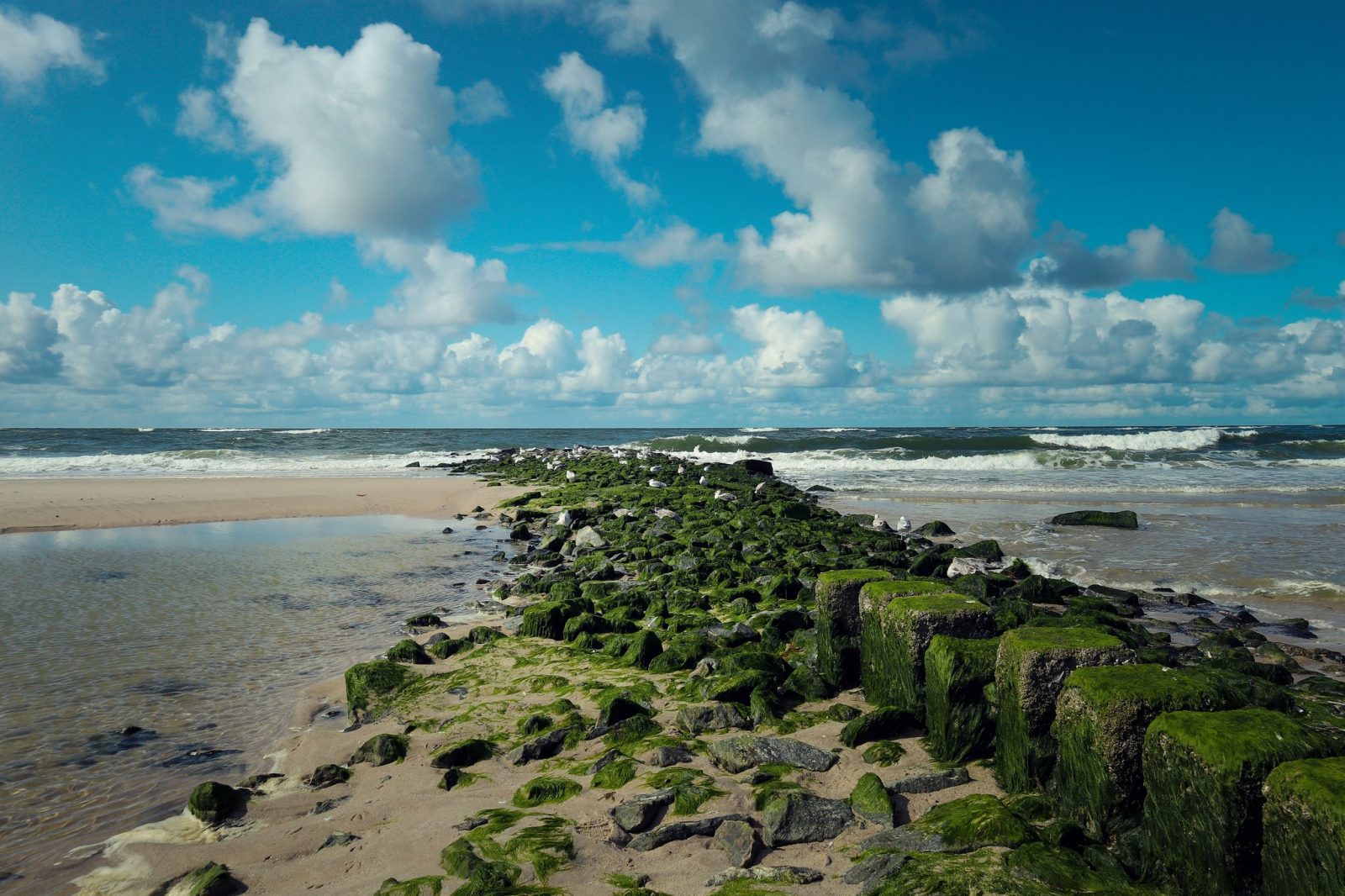 North Sea