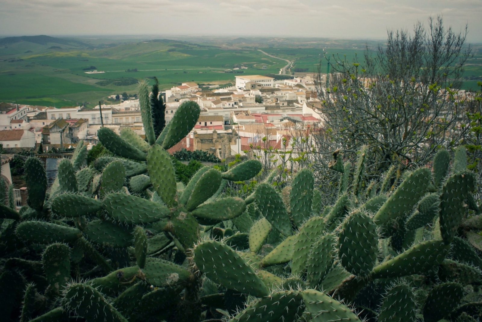 Andalusia