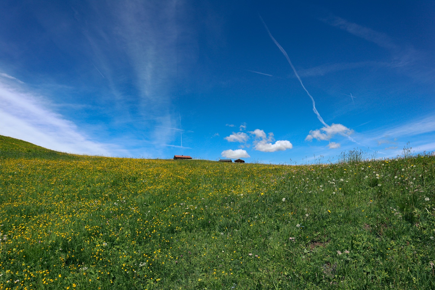 Alpe di Siusi